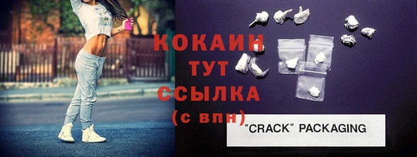 индика Арсеньев