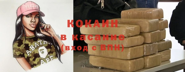 индика Армянск