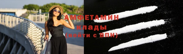 сатива Аркадак