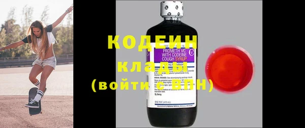 индика Арсеньев