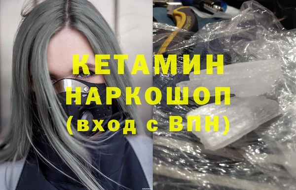 сатива Аркадак