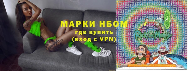 сатива Аркадак
