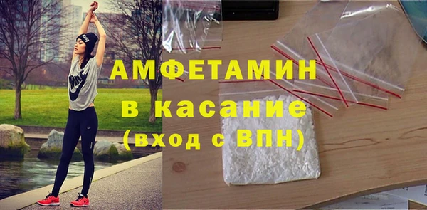 индика Арсеньев