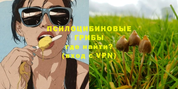 сатива Аркадак
