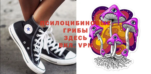 сатива Аркадак