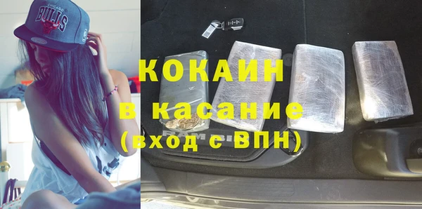 индика Армянск