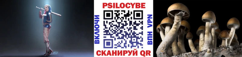Псилоцибиновые грибы Magic Shrooms  Спас-Клепики 